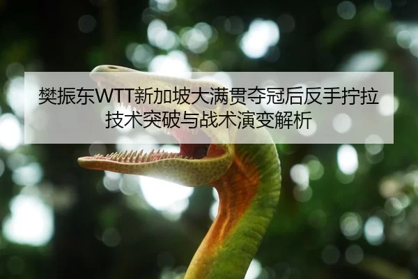樊振东WTT新加坡大满贯夺冠后反手拧拉技术突破与战术演变解析